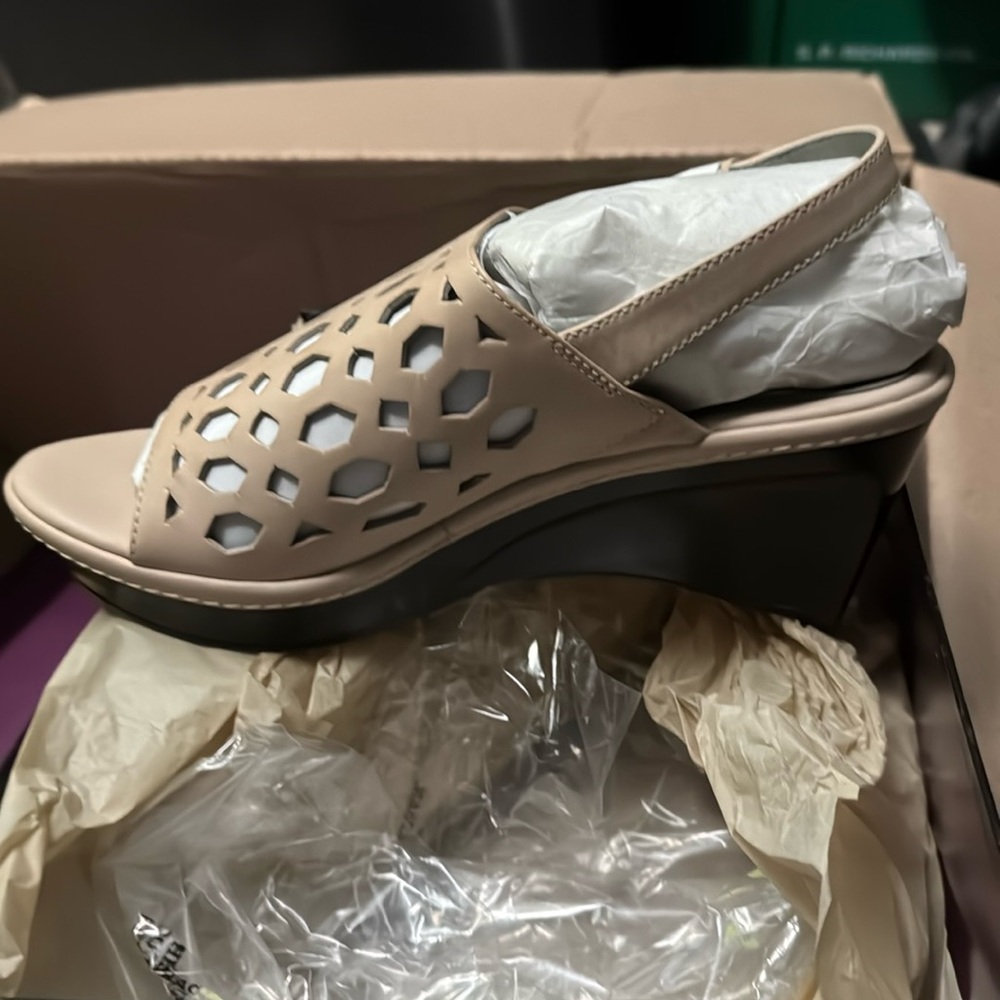 Women’s brand new shoes 8.5